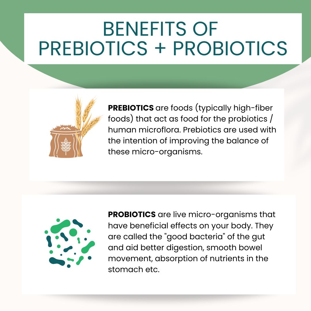 Probiotic Cookies Unflavoured